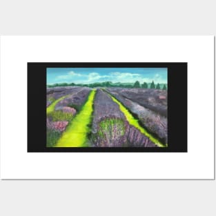 Lavender Fields Posters and Art